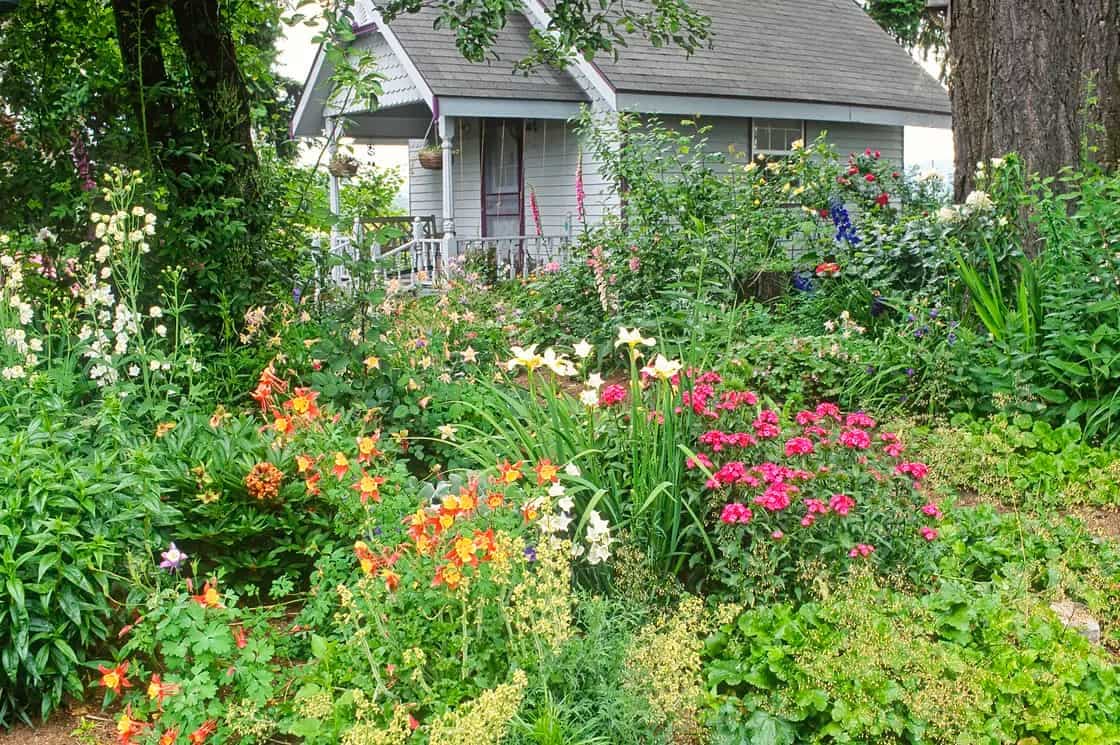Chaos Gardening: Why The Best...